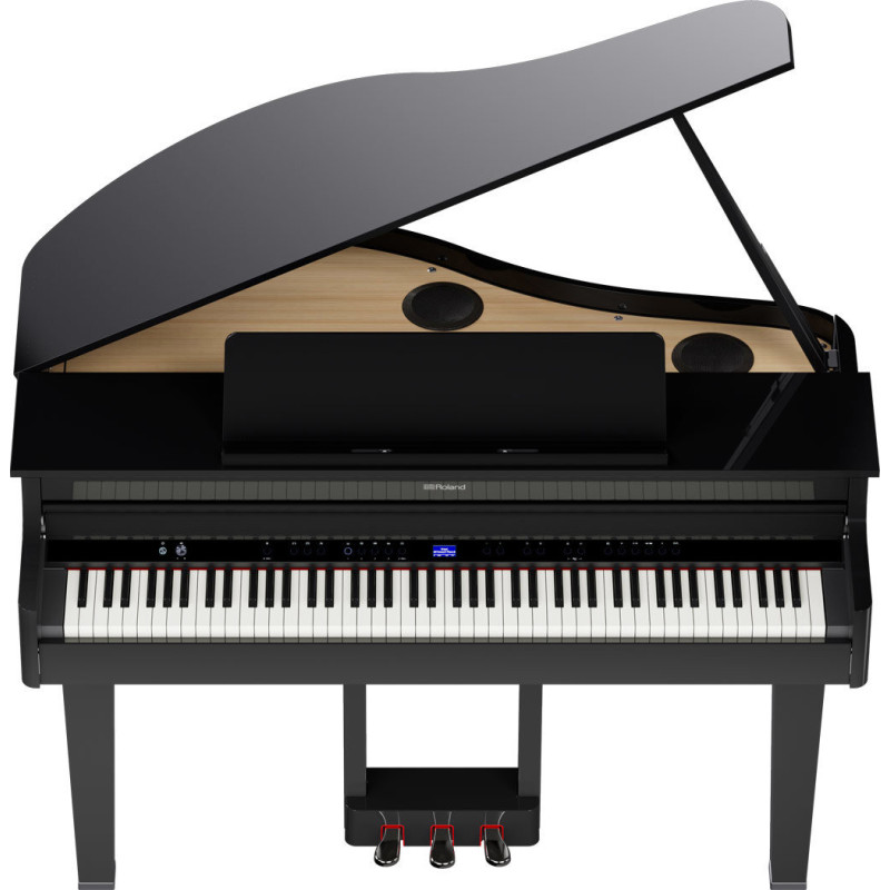 ROLAND GP-6-PE