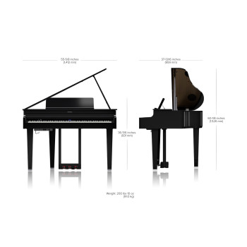 ROLAND GP-6-PE