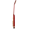 GIBSON Slash Les Paul Standard Appetite Burst