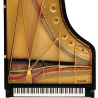 STEINWAY & SONS STEINWAY D-274 Piano a queue
