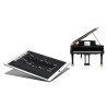 STEINWAY & SONS B211 Spirio R chrome
