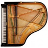 BECHSTEIN Academy A 160 Noir brillant
