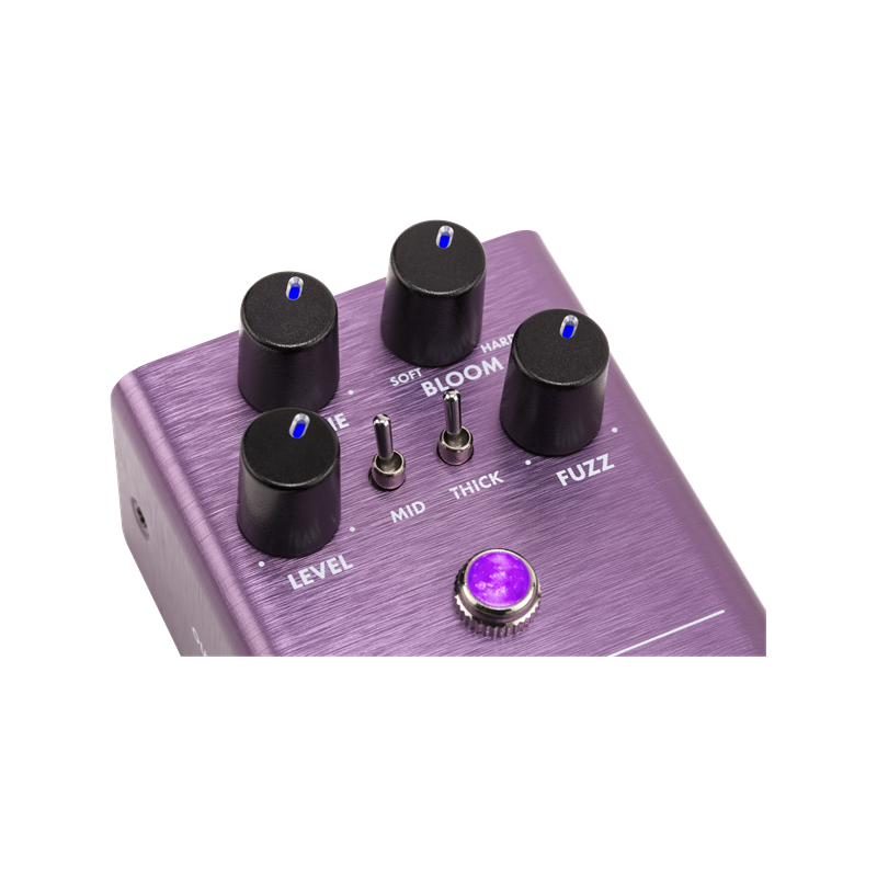 FENDER The Pelt Fuzz