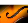 HERALD AS144 violon massif 4/4