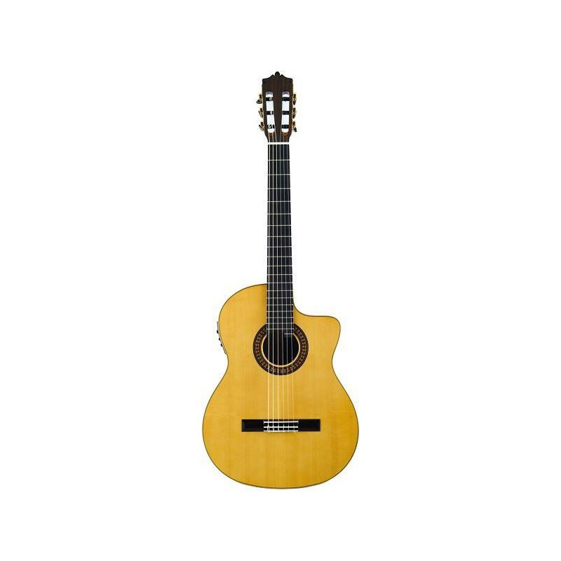 MARTINEZ Flamenco MFG-AS EQ