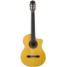 MARTINEZ Flamenco MFG-AS EQ
