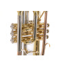 BACH Cornet Sib CR651 CR651