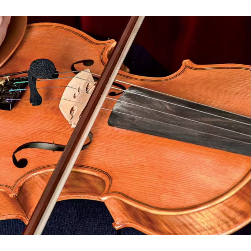PRODIPE Micro violon VL21 Lanen