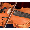 PRODIPE Micro violon VL21 Lanen
