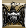 ERNIE BALL 2090 paradigm 80/20 bronze extra light 10-50