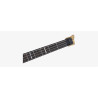 MARCUS MILLER F10 Dx 4 Headless NT Spalted Maple Top Natural