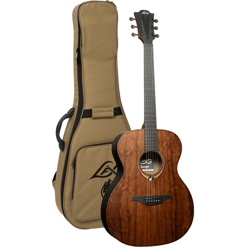 LAG SAUVAGE-A guitare acoustique sauvage auditorium