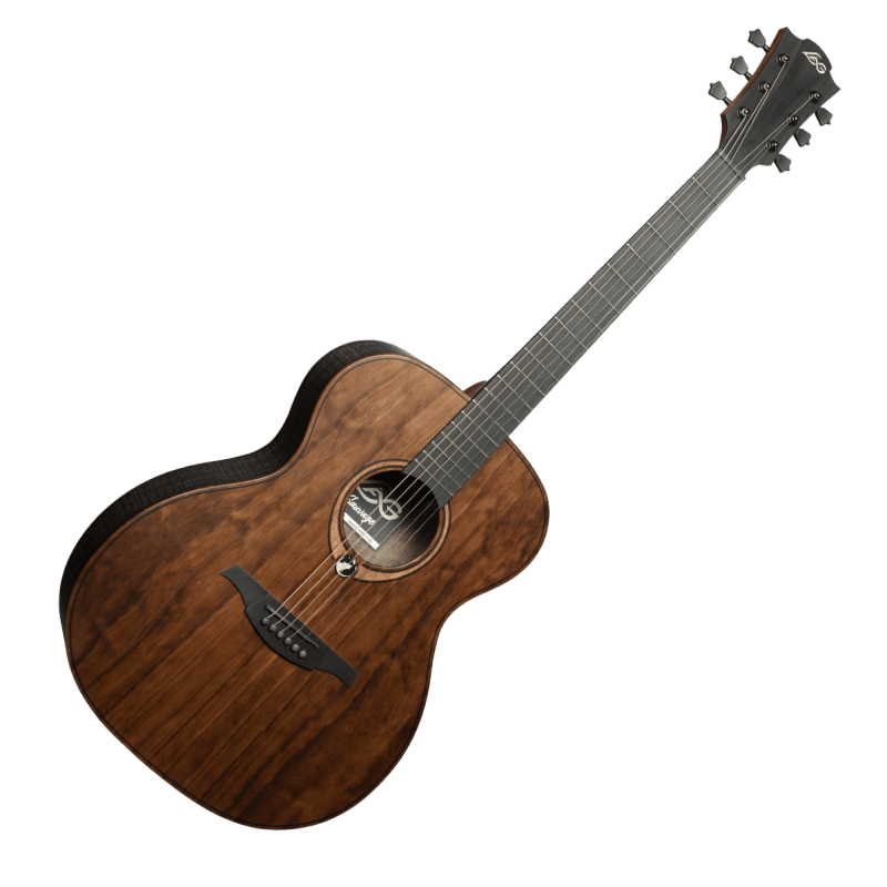 LAG SAUVAGE-A guitare acoustique sauvage auditorium