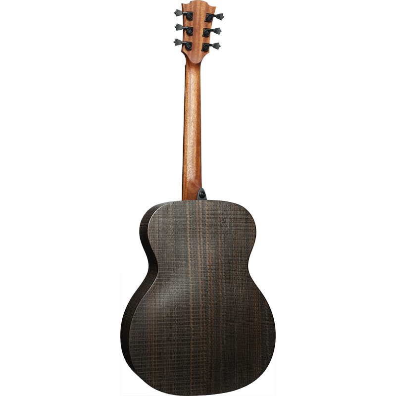 LAG SAUVAGE-A guitare acoustique sauvage auditorium