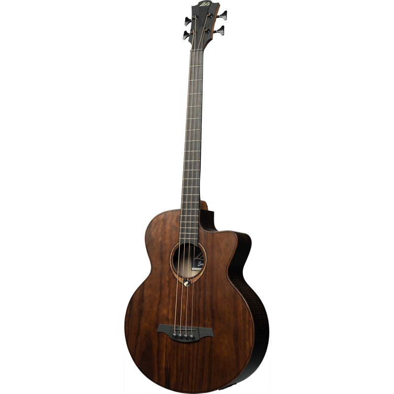 LAG SAUVAGE-BCE basse électro-acoustique sauvage