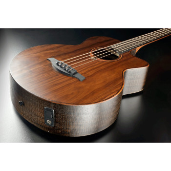 LAG SAUVAGE-BCE basse électro-acoustique sauvage