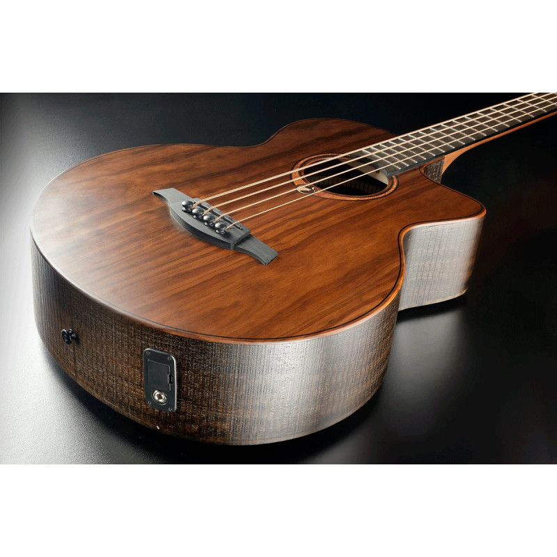 LAG SAUVAGE-BCE basse électro-acoustique sauvage