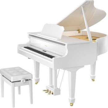 ROLAND GP609-PW sur modele d'expo LIVRAISON 06-83 UNIQUEMENT - Déstockage