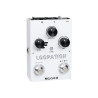 MOOER LOOPATION pedale mooer loopation