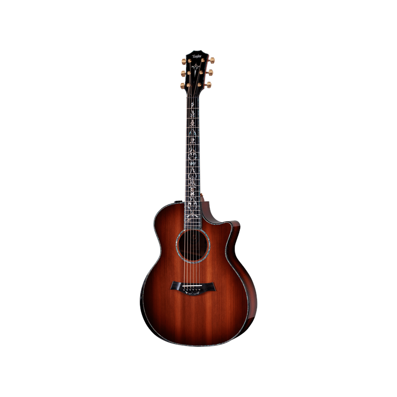 TAYLOR PS14ce LTD,Urban Ironbark/SinkerRedwood 50th Anniv