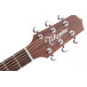 TAKAMINE P1DC p1dc natural satin