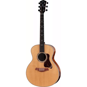 TAYLOR Gold Label 814e Koa