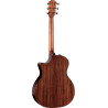 TAYLOR 414ce Studio Special Edition