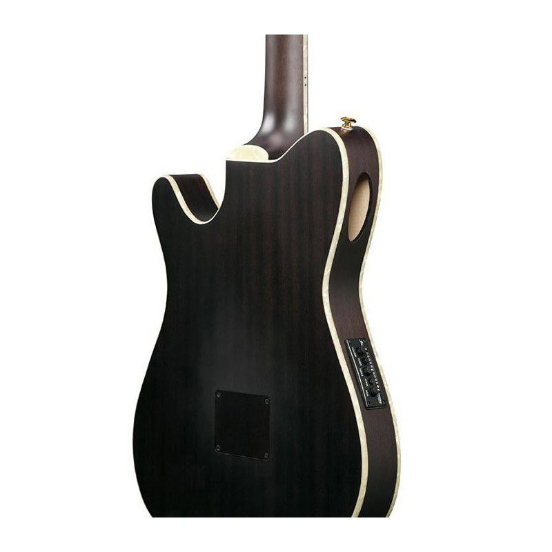 IBANEZ TOD10NTKF Transparent Black Flat Guitare electrique