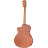 TAYLOR 24ce