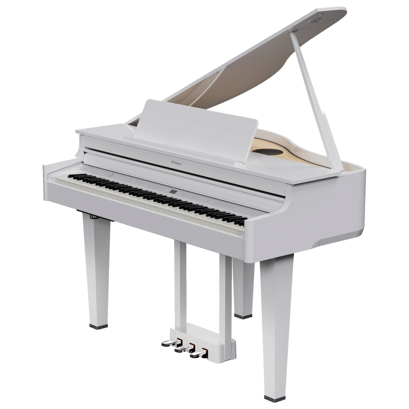 ROLAND GP-6-PW
