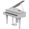 ROLAND GP-6-PW