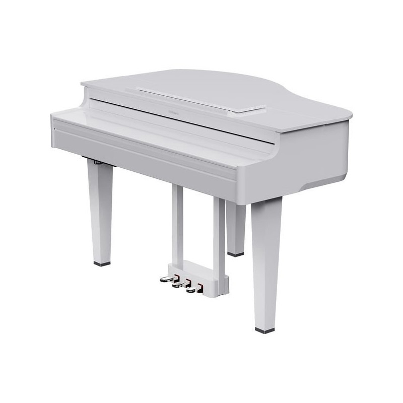 ROLAND GP-6-PW