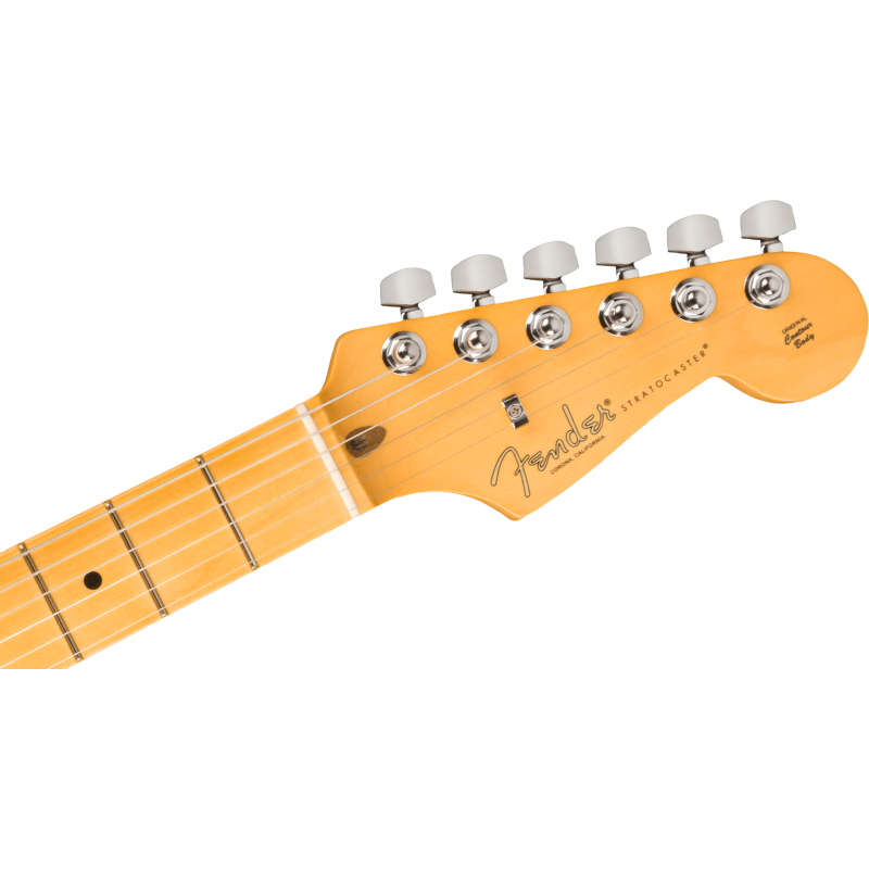 FENDER American Professional II Stratocaster touche erable Dark Night