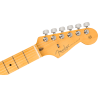 FENDER American Professional II Stratocaster touche erable Dark Night