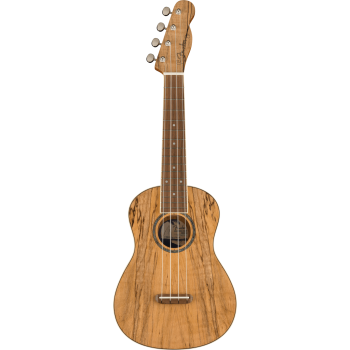 FENDER Zuma Exotic Concert Ukulele touche Noyer Spalted Maple