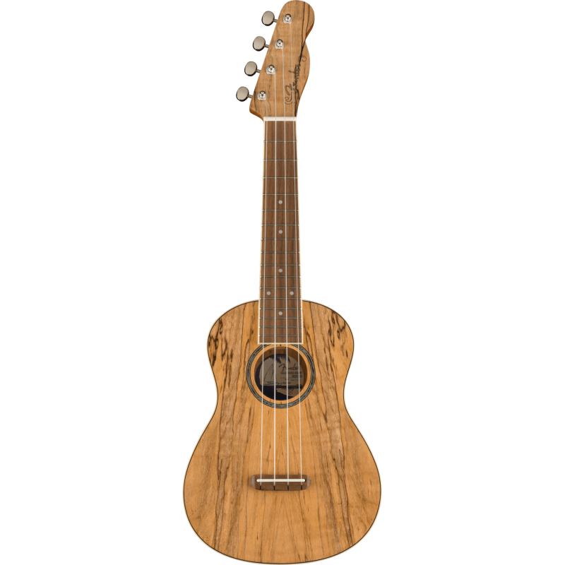 FENDER Zuma Exotic Concert Ukulele touche Noyer Spalted Maple