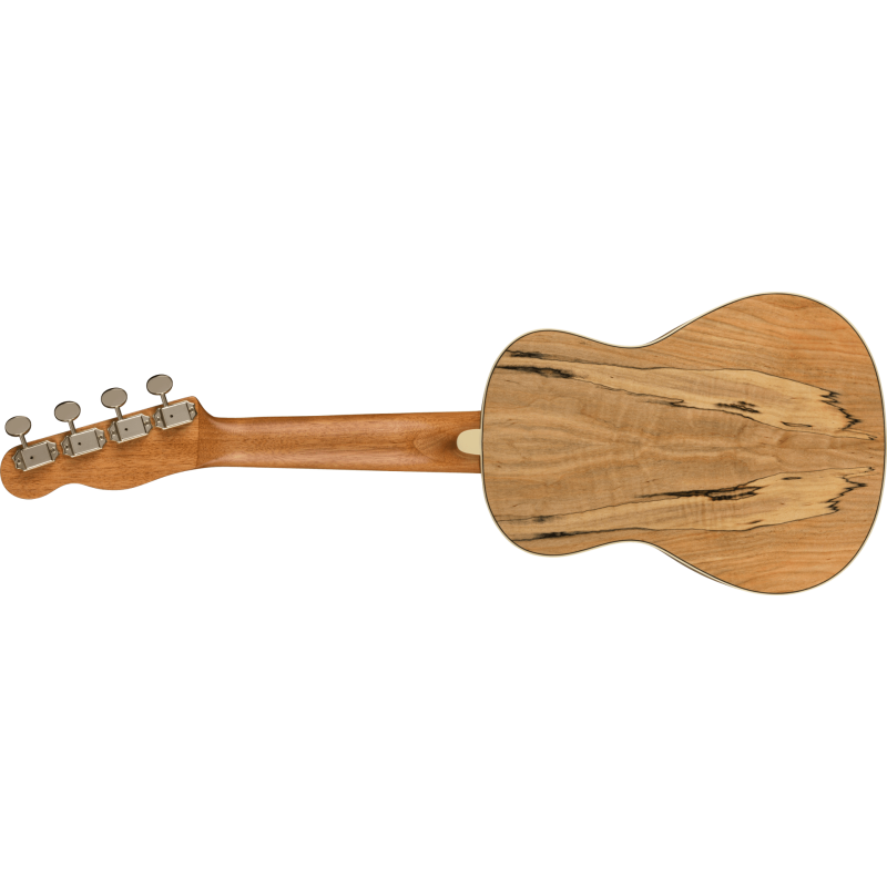 FENDER Zuma Exotic Concert Ukulele touche Noyer Spalted Maple