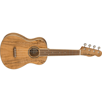 FENDER Zuma Exotic Concert Ukulele touche Noyer Spalted Maple