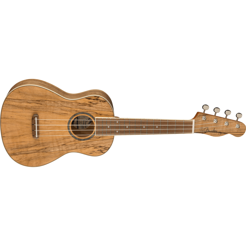 FENDER Zuma Exotic Concert Ukulele touche Noyer Spalted Maple