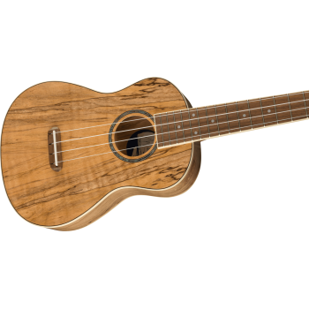 FENDER Zuma Exotic Concert Ukulele touche Noyer Spalted Maple