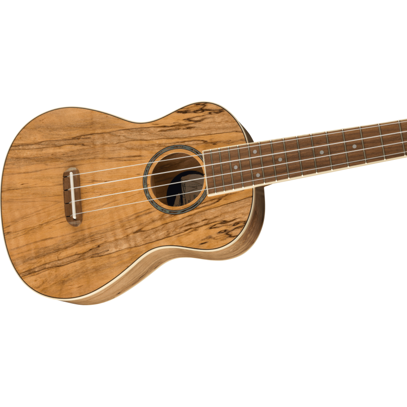 FENDER Zuma Exotic Concert Ukulele touche Noyer Spalted Maple