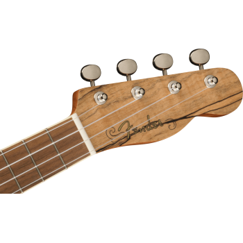 FENDER Zuma Exotic Concert Ukulele touche Noyer Spalted Maple
