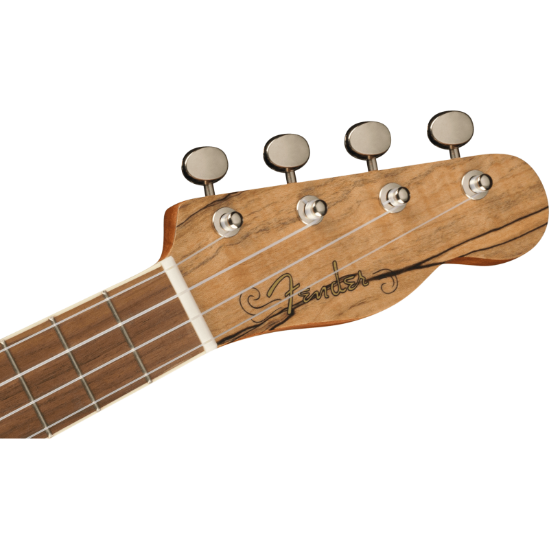 FENDER Zuma Exotic Concert Ukulele touche Noyer Spalted Maple
