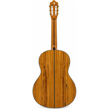 Pablo Mendes PMCG-70 guitare classique