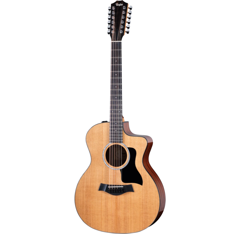 TAYLOR 254ce Plus