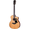 TAYLOR 254ce Plus