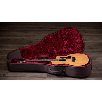 TAYLOR 254ce Plus