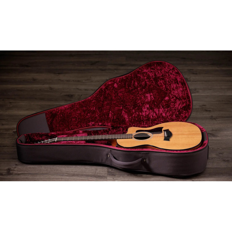 TAYLOR 254ce Plus