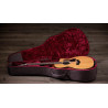 TAYLOR 254ce Plus