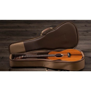 TAYLOR GS Mini-e Koa